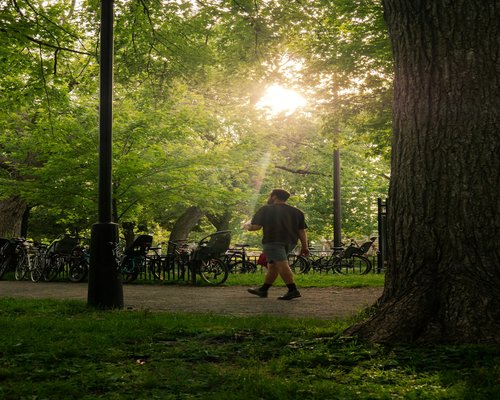 A person taking a short walking break in an urban park filled with trees